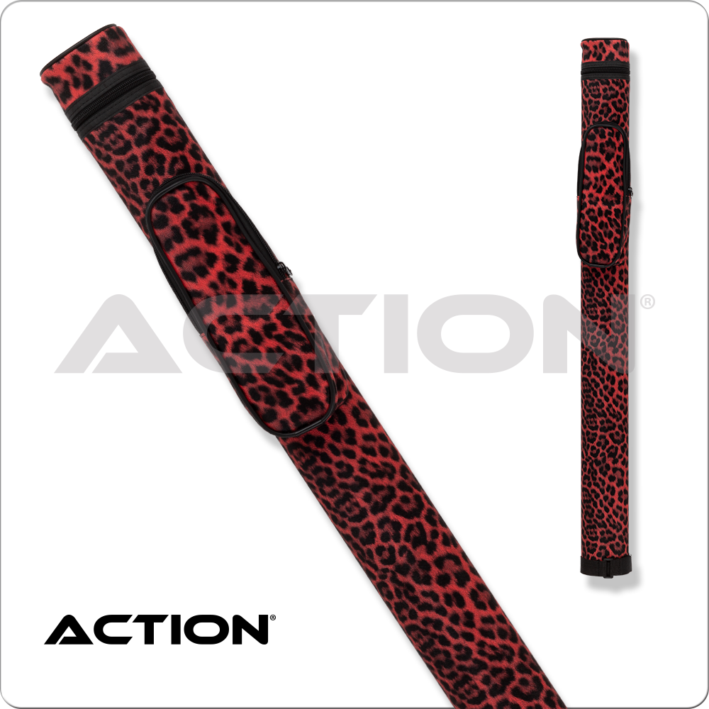 Action ACPS11 Case