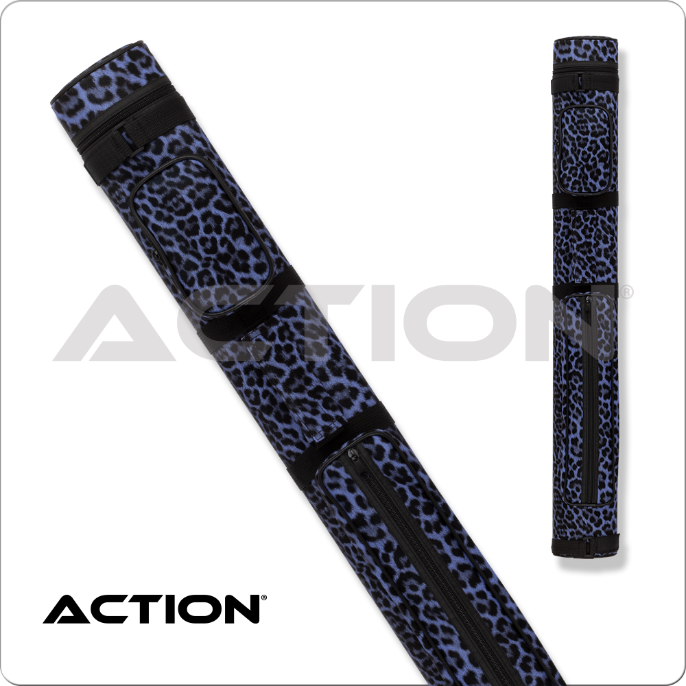 Action ACPS22 Case