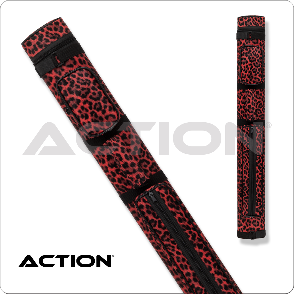 Action ACPS22 Case